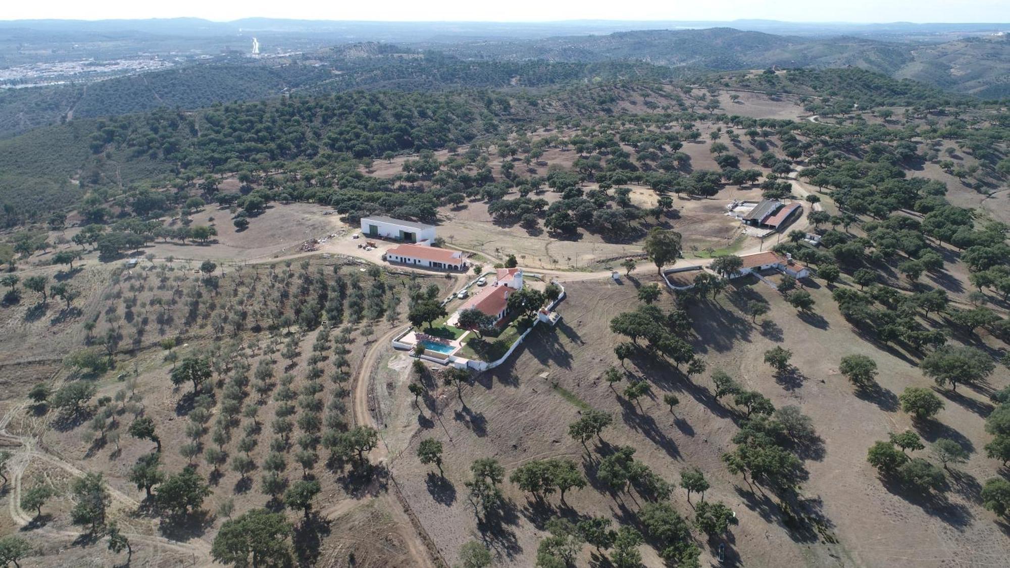 Herdade Vale De Cabras Portel Bagian luar foto